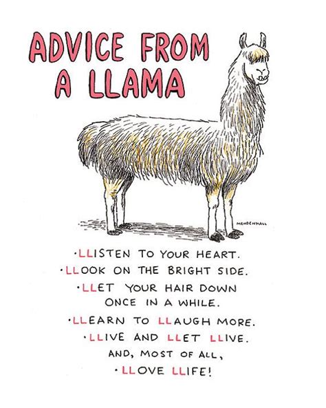 Llama Self Care Cubicle Decor Philosophy Peru Mental - Etsy | Llama quote, Funny llama, Llama