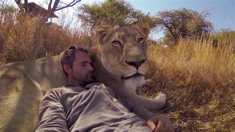 Spotlight Worldwide: Man Tries to Hug a Wild Lion, You Won’t Believe What Happens Next!