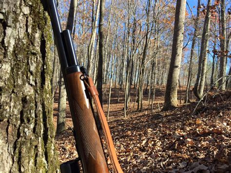 1895Gunner: WMA Hunting in NW Georgia - 2016