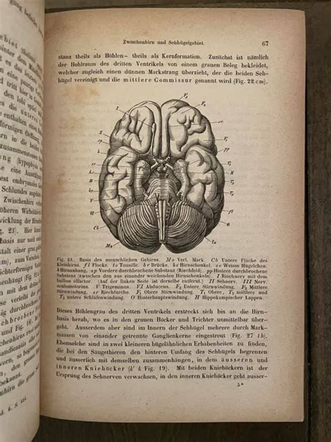 Grundzuge der Physiologischen Psychologie (Principles of Physiological Psychology) by Wilhelm ...