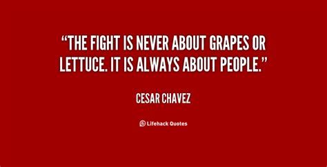 Cesar Chavez Quotes On Education. QuotesGram