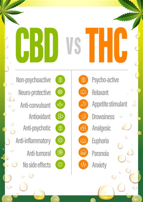 CBD vs THC, poster with comparison CBD and THC, list of differences with icons. 2170329 Vector ...