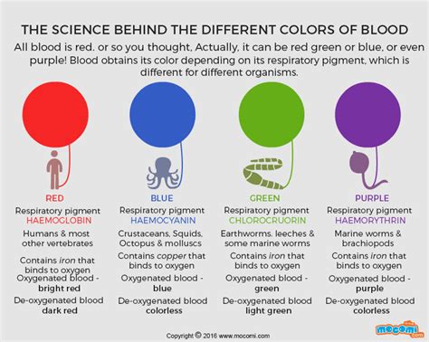 Different Colours of Blood in Marine Species