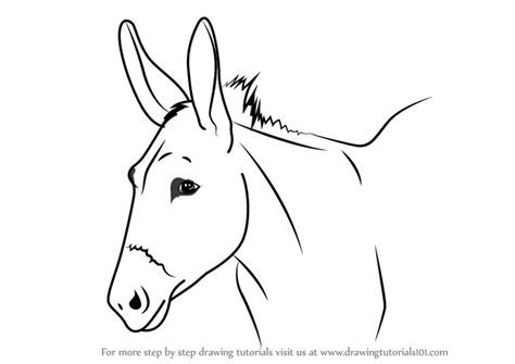 Learn How to Draw a Donkey Face (Animal Faces) Step by Step : Drawing Tutorials Animal Line ...