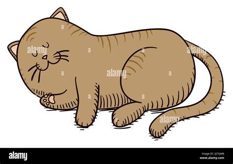 Cute and striped cat lying down and taking a nap, in hand drawn and cartoon style Stock Vector ...