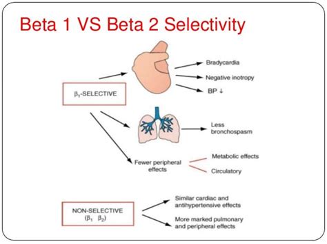 Beta 1 Vs Beta 2 Blockers - slideshare