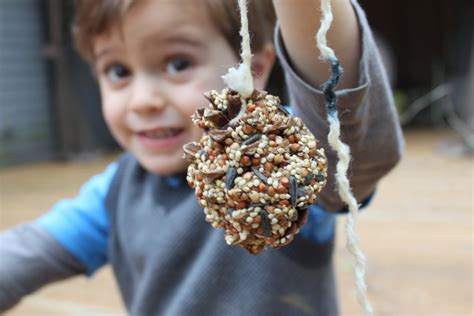 Pinecone Bird Feeder | DIY for Beginners | KiwiCo