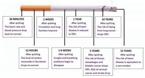 Quit Smoking Timeline