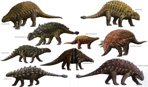 ankylosauria - Google zoeken | Prehistoric animals, Dinosaur, Dinosaur images