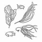 Outline Hand Drawn sketchy Drawings Of Seaweeds And Fish Black  sketch template