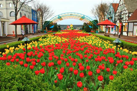 Seoul Land Theme Park & Seoul Land Zoo Foreigner Discount Ticket | Funtastickorea