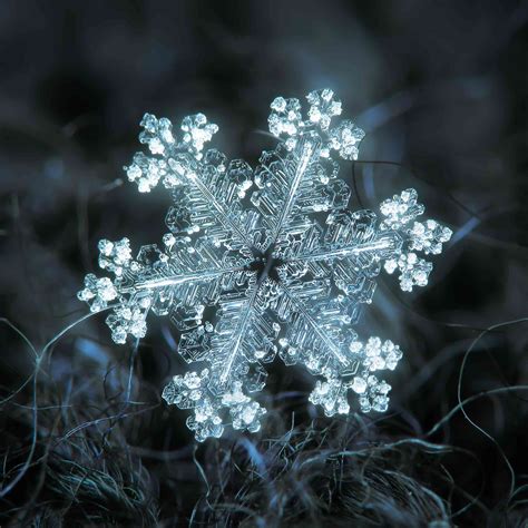 Macro Photos of Snowflakes Show Impossibly Perfect Designs