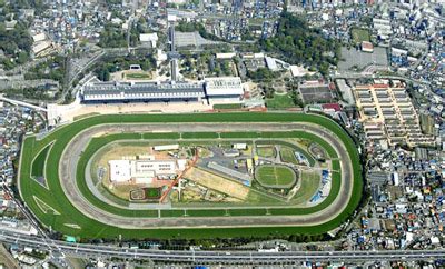 Tokyo｜Racecourses (JRA )｜Horse Racing in Japan