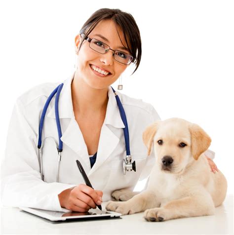 Major Overview: Pre-Veterinary Program