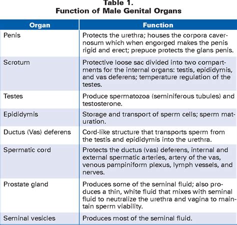 Table 1 from Assessment of the male reproductive system. | Semantic Scholar