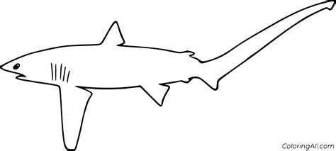 Thresher Shark Coloring Pages (6 Free Printables) - ColoringAll