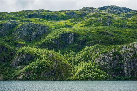 Premium Photo | Norway fjords landscape