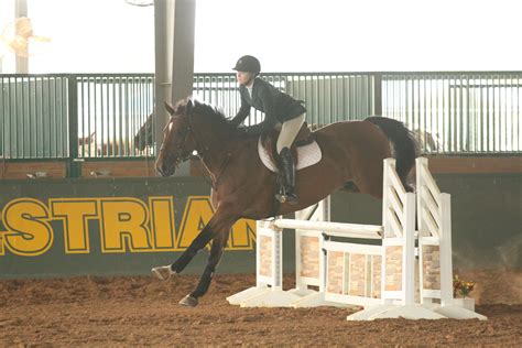 Photo of the Day: Equestrian riders earn conference honor | The Baylor ...