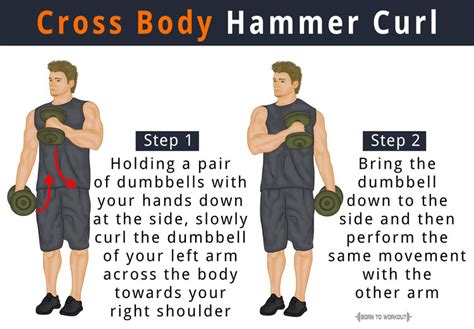 Cross Body Hammer Curl: How to do, Benefits, Muscles Worked | Born to Workout