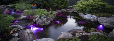 Pond Maintenance Services