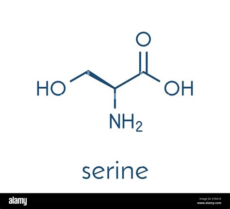 Serine Amino Acid Molecule Stock Photos & Serine Amino Acid Molecule Stock Images - Alamy