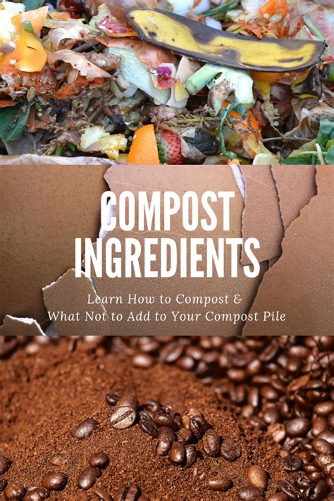 Follow these composting tips to learn how to create a productive ...