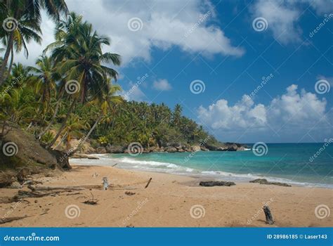 Playa Grande stock image. Image of seascape, caribbean - 28986185