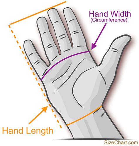 كم مرة أداة عدم الأمانة how to measure hand size for gloves - cartersguesthouses.com