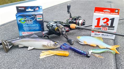 Gear Review! Shimano Curado BFS, Megabass P5, Creature Baits, Swimbaits, And Finesse! — Tactical ...