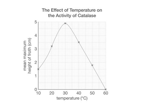 😍 What is the optimum temperature for catalase. What is the optimal ...