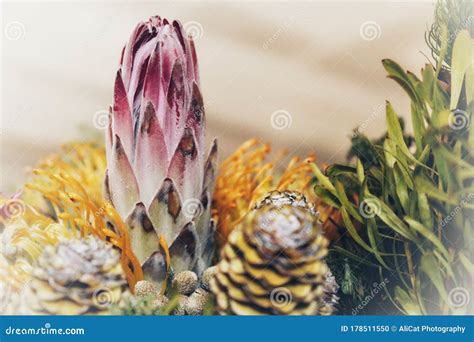 South-African Flower Bouquet Stock Photo - Image of plant, south: 178511550