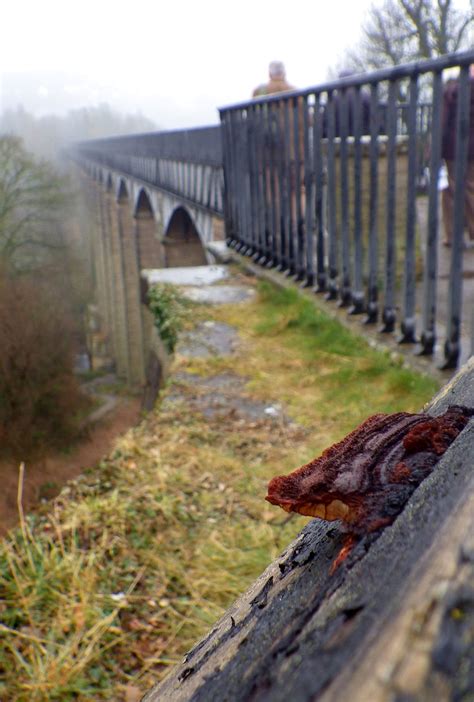 Pontcysyllte Aqueduct - IMGP0869a | It is still amazing to m… | Flickr