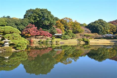 Shinjuku Gyoen Park Tokyo in Autumn Stock Image - Image of outdoor, lake: 191613565