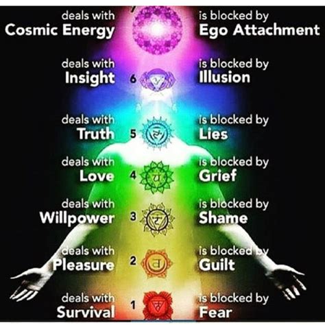The Chakra System - LegaSE Spiritual Enlightenment
