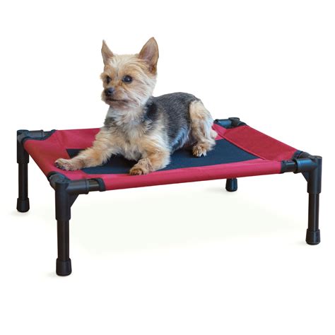 Elevated Dog Bed, Small - Walmart.com - Walmart.com