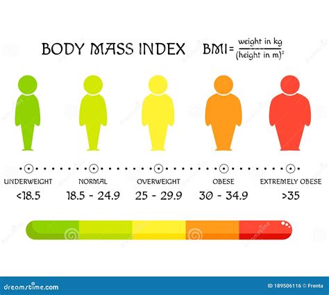 BMI Concept. Body Shapes from Underweight To Extremely Obese Stock ...