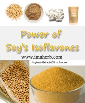 Health Benefits of Soy's Isoflavones for Women | Isoflavones, Dog food recipes, Food