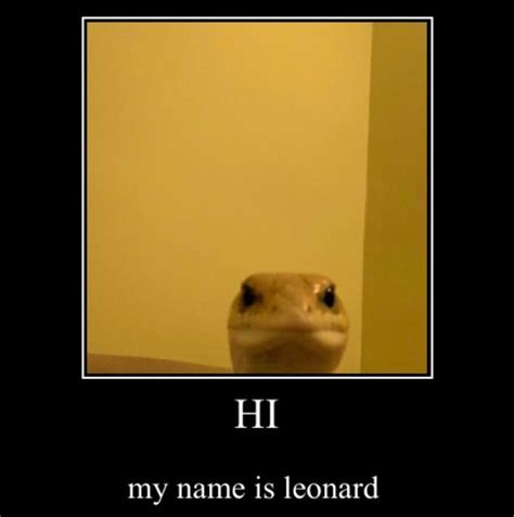 Lizard Meme Face - img-Baback