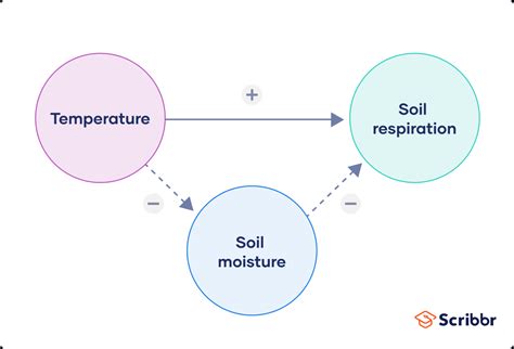 A Quick Guide to Experimental Design | 5 Steps & Examples