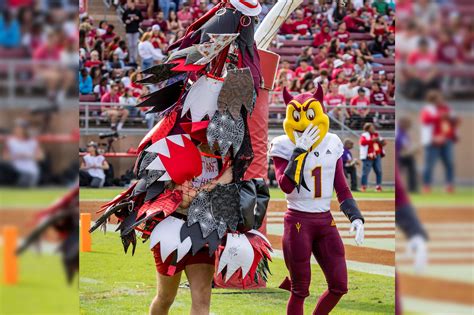 Student suspended as Stanford Tree mascot over sign incident