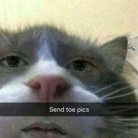 I showed you my cat ears please respond | Foot Fetishism | Know Your Meme