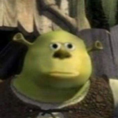 Mike Shrek | Mike Wazowski-Sulley Face Swap | Know Your Meme