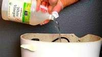 How to Unblock a Slow Flushing Toilet with Vinegar