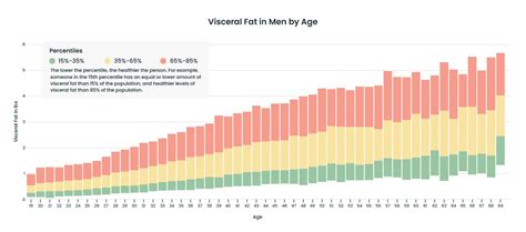 Visceral Fat Level Chart: Understanding Your Health Risks | BodySpec