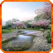 Sakura Live Wallpapers Android APK Free Download – APKTurbo