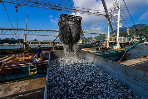 The World Is Losing Fish to Eat as Oceans Warm, Study Finds - The New ...