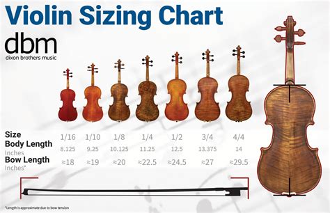 Free Printable Violin Size Chart [By Height, By Age] Inches