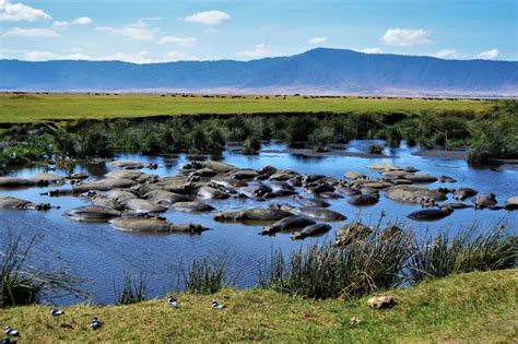 Ngorongoro Conservation Area, Tanzania - African Safaris Ltd