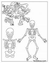 Skeleton Human Coloring Pages  Cool sketch template