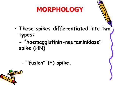 PPT - Paramyxoviridae PowerPoint Presentation, free download - ID:1174456